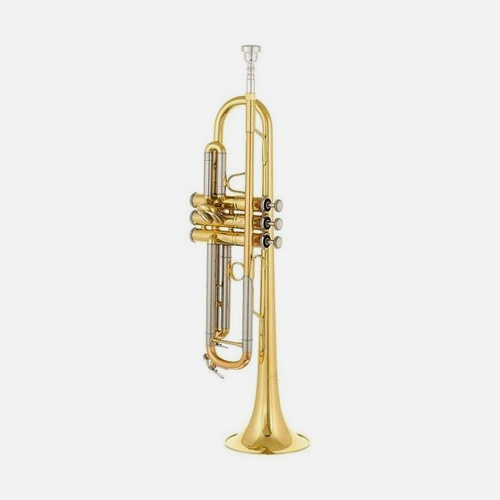 Schagerl Academica Series TR421L